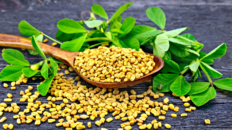 Fenugreek leaves and seeds