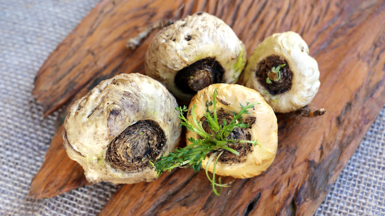 Maca root on wooden board