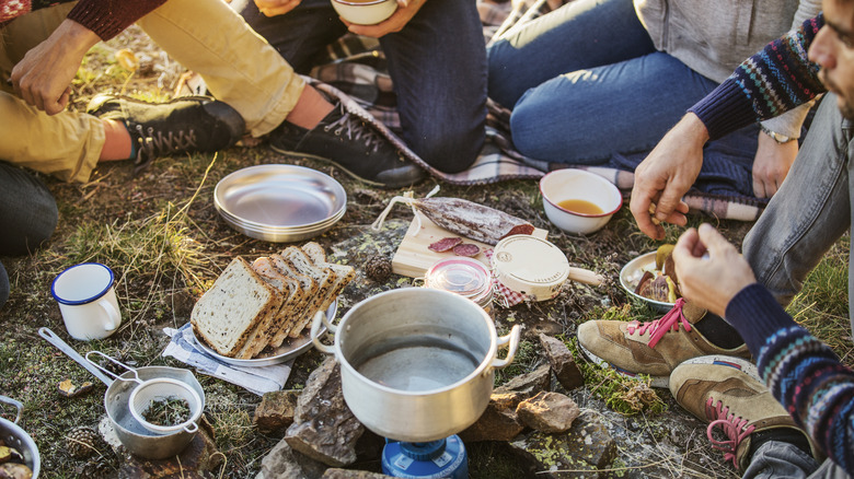 friends camping picnic