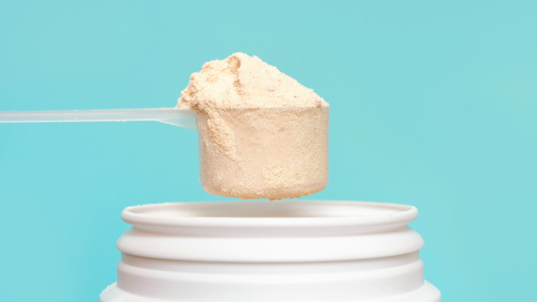 A scoop of protein powder