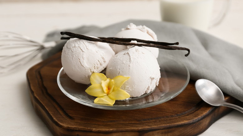 Vanilla ice cream with vanilla bean and flower.