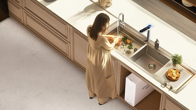 Person washing produce in a sink using a filtered water system