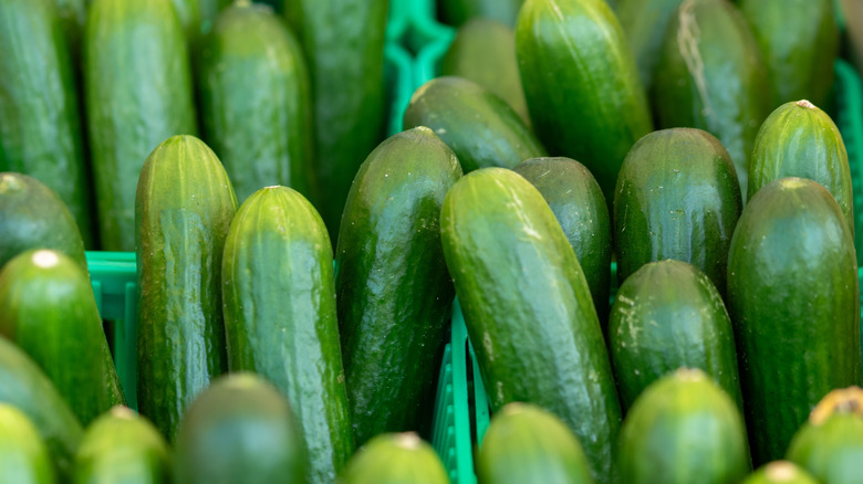 Mini cucumbers