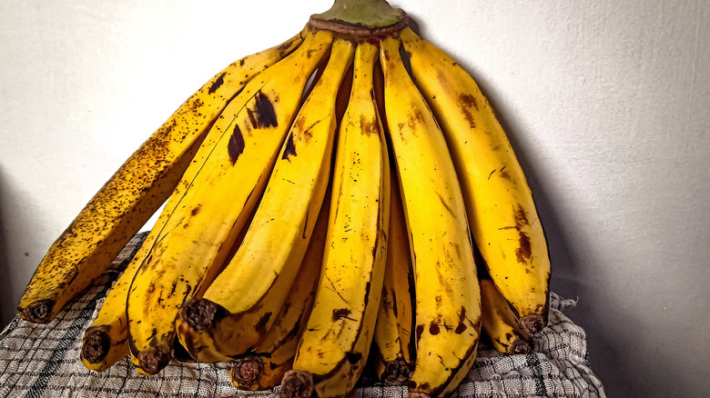 A ripe bunch of plantains