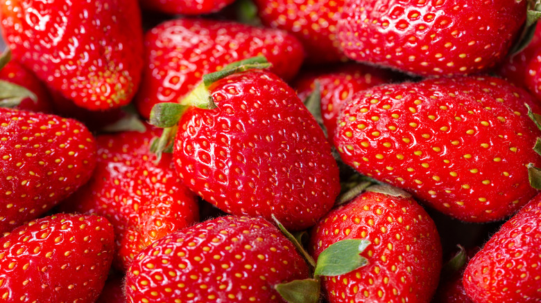 Close up of freshly picked strawberries
