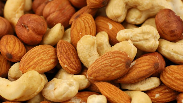 Almonds Or Cashews: Which Have More Fiber And Protein?