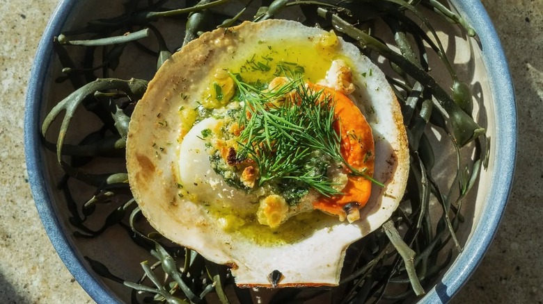A broiled Maine scallop with dill in the shell at Eventide Oyster Co. in Portland, Maine