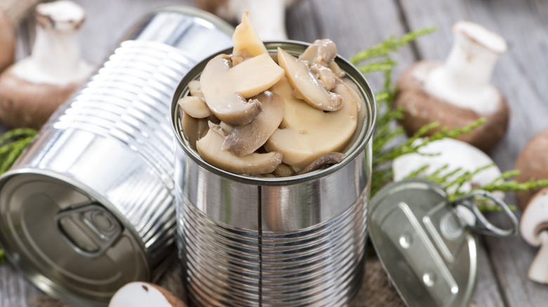 Opened can of mushrooms with fresh ones surrounding it