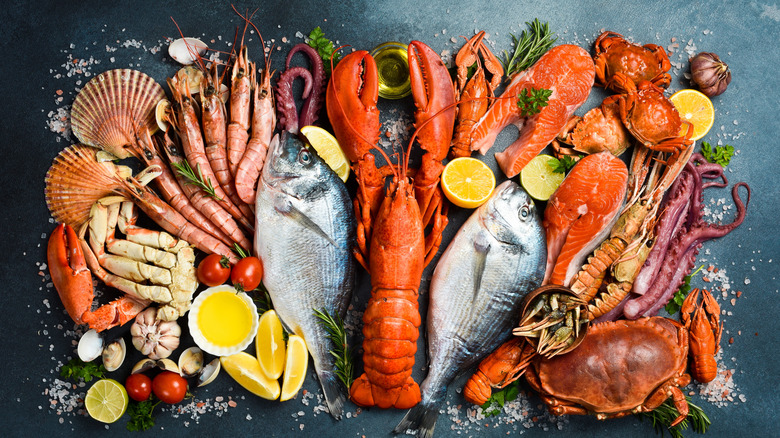 A variety of seafood nearly lined up presented on a dark background