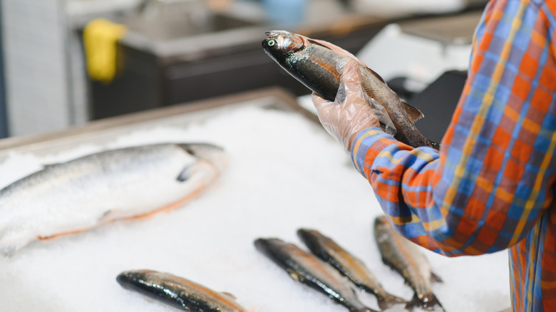 Person holding whole fish at a grocery store