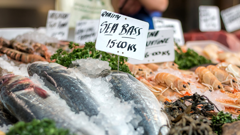 Fresh fish at a market counter