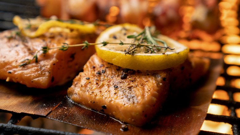 Salmon grilled over a fire