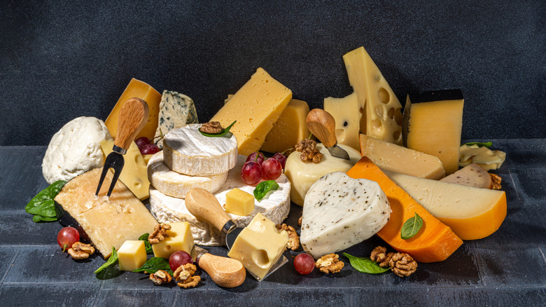 a large assortment of different kinds of cheese
