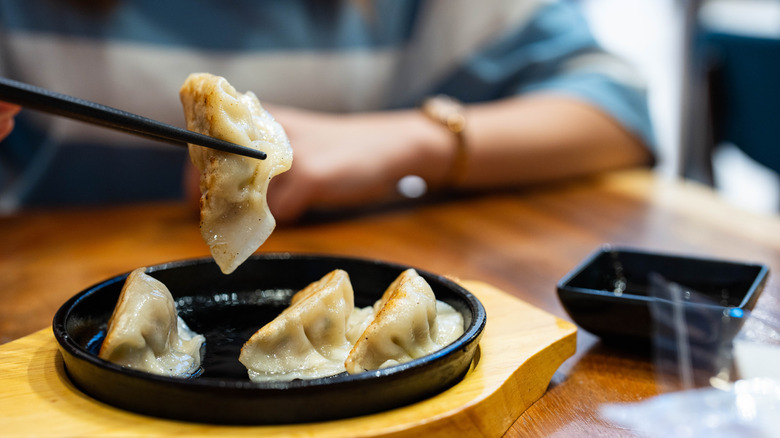 Plate of pot stickers