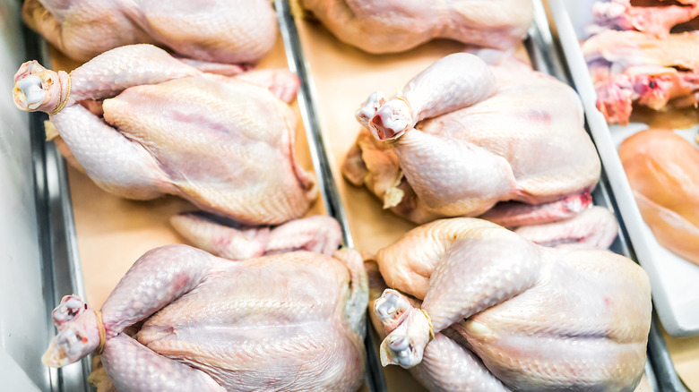 Whole raw chickens on trays