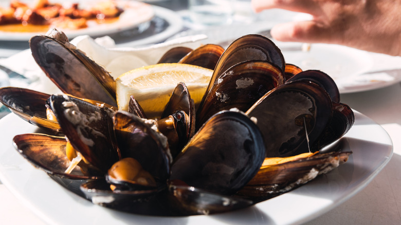 A plate of mussels at a restaurant