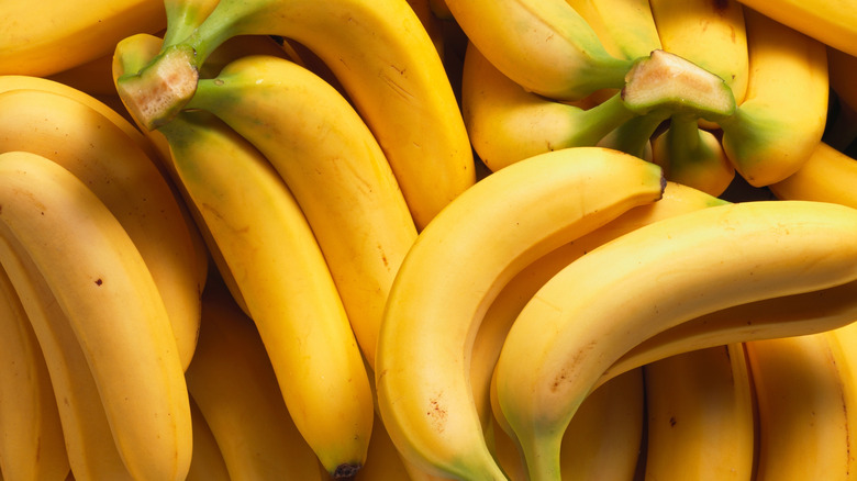Ripe yellow bananas in a bunch