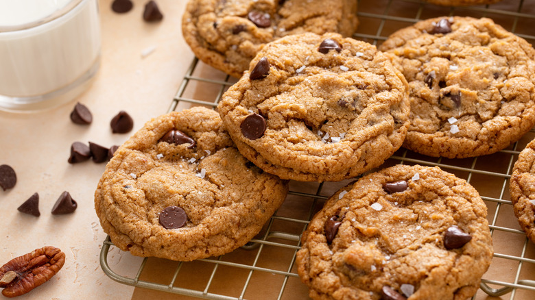 A cooling rack with choc-chip cookies with pecan nuts.