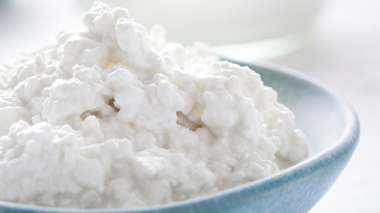 close-up of cottage cheese in a bowl