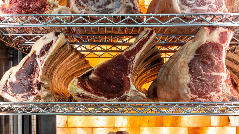 Numerous steaks in a dry-aging cabinet.