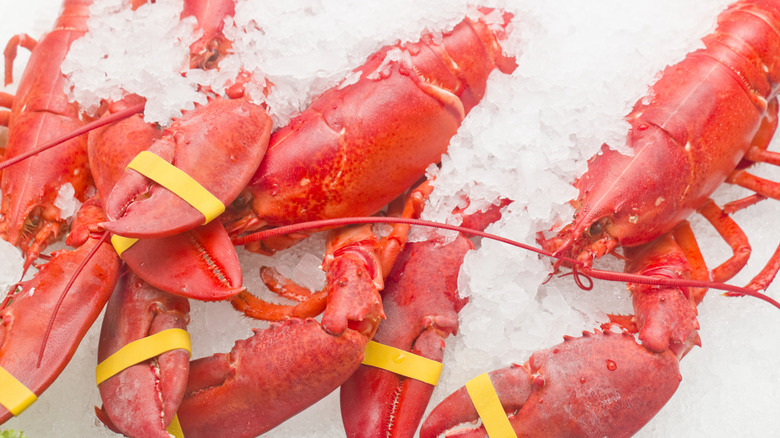 Are Grocery Store Lobsters Honestly Any Good? Here's What You Should Know