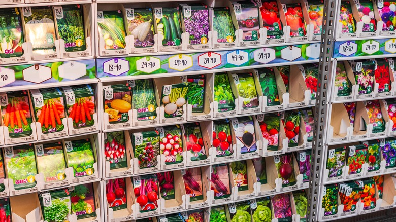 Various seed packets at store.
