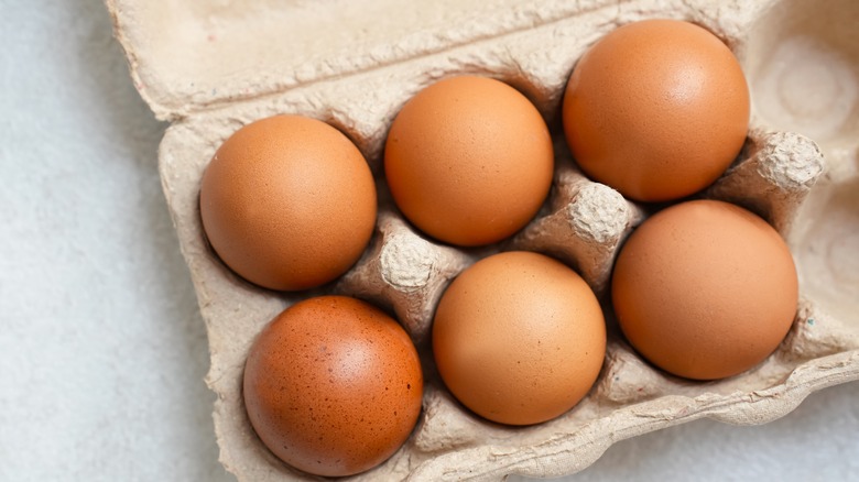 Six brown eggs in a carton