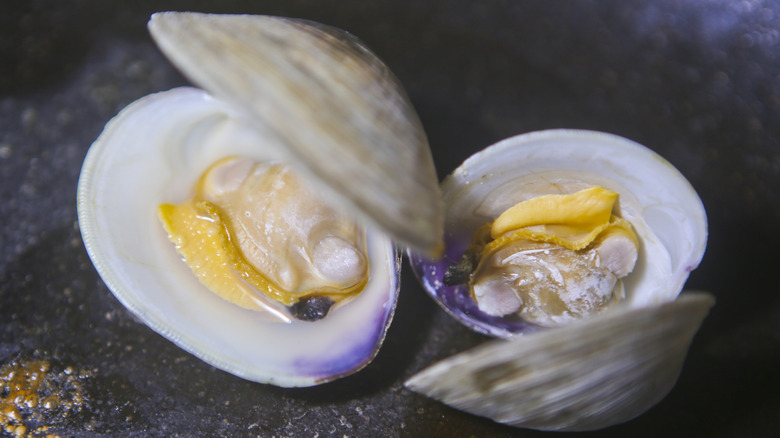 pictured opened clam