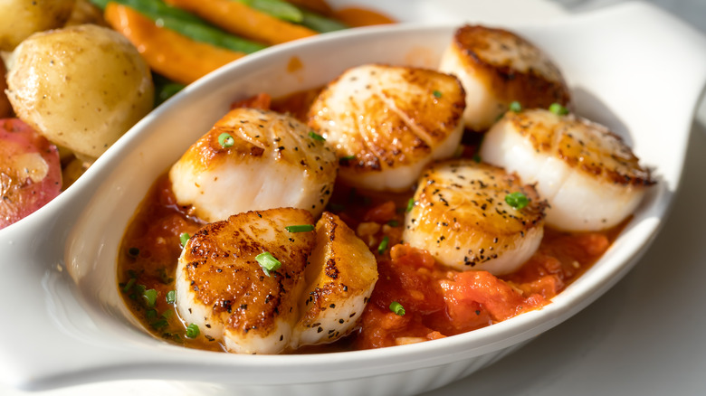 Seared scallops on top of a tomato sauce in a white dish