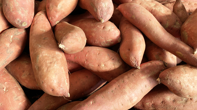 A close-up on a pile of sweet potatoes.