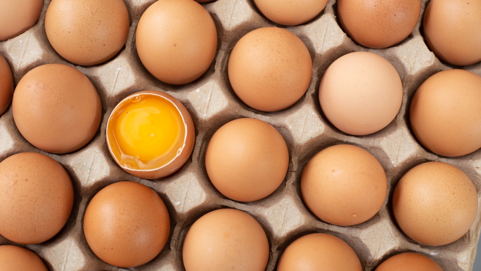 Are The Eggs We Eat Fertilized Or Unfertilized?
