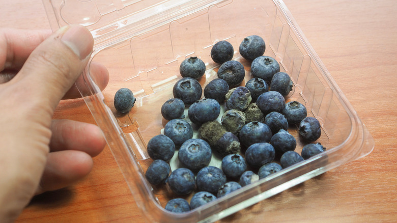 A punnet of blueberries with mold on some of them.