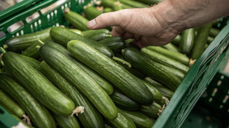 Hand placing cucumbers into a grocery cart