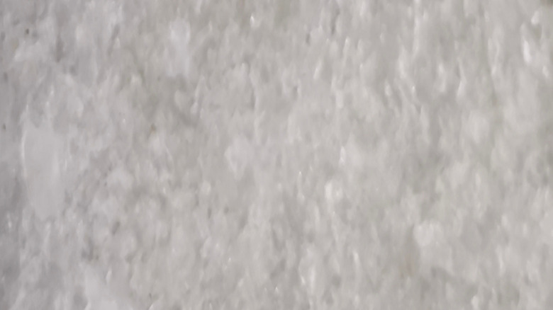 close up of clams contained in bag