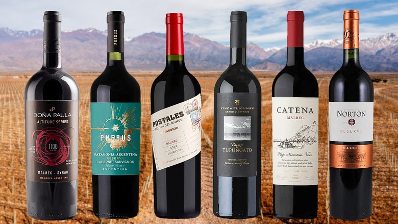 Bottles of Argentine Malbec against a background of a vineyard with mountains surrounding it