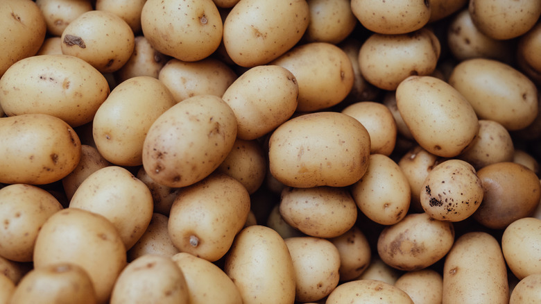 Pile of small new potatoes.