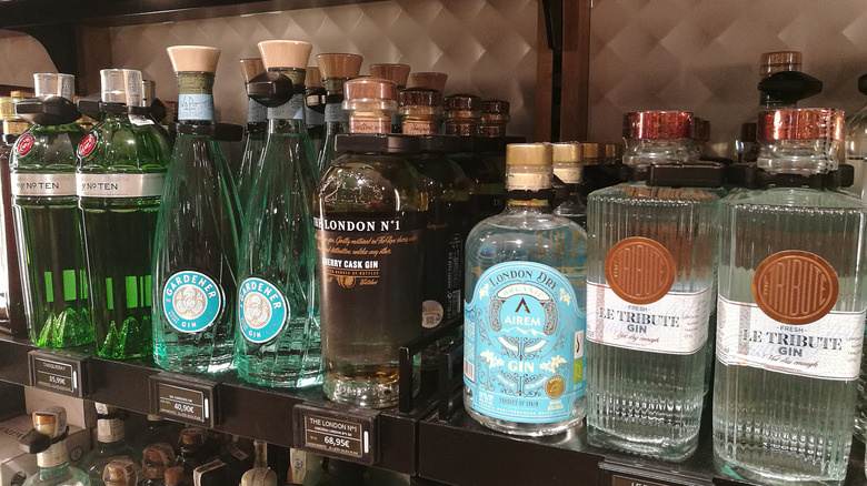 Several bottles of different varieties of gin on a shelf