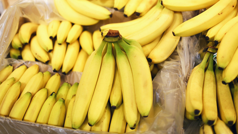 bunches of yellow healthy bannanas sitting in a store