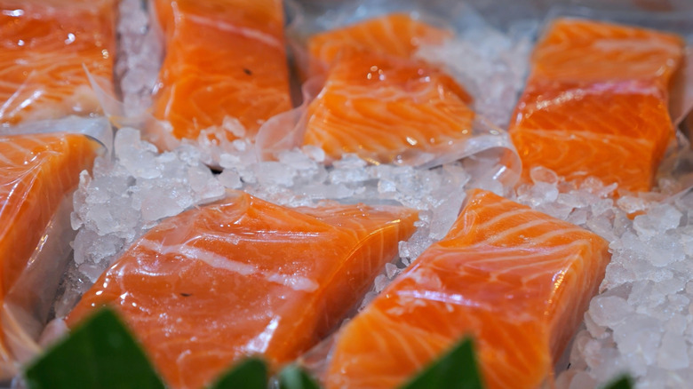 Several pieces of fresh salmon sitting on ice