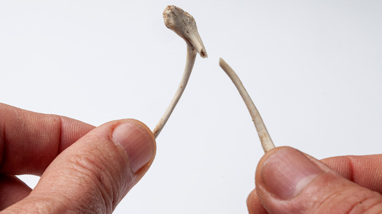 close-up of person's fingers holding and cracking a wishbone in two