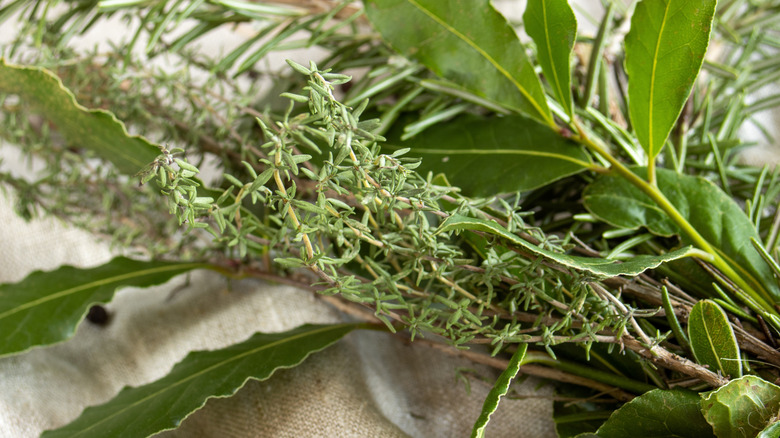 A close up shot of thyme, bay leaves, and rosemary