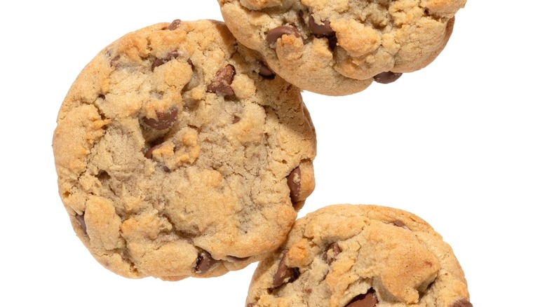 Milk chocolate chip cookies with white background