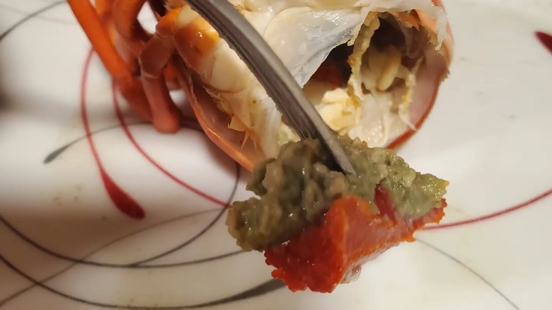 Lobster tomalley on a fork.