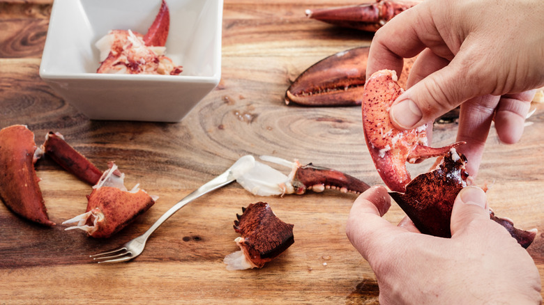 A person removing meat from lobster claws.