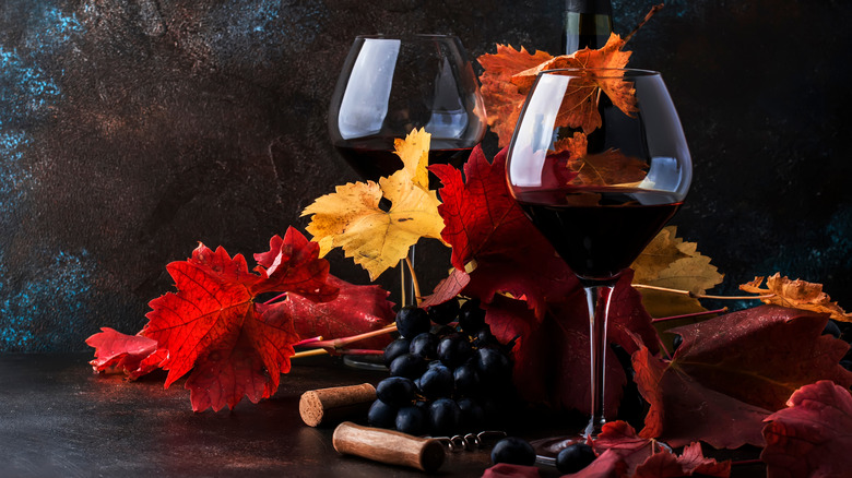 Dry red wine in glass