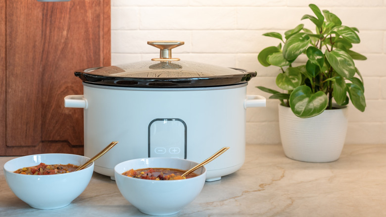 Slow cooker with two bowls