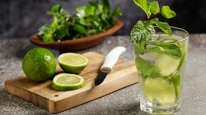 mojito and its ingredients