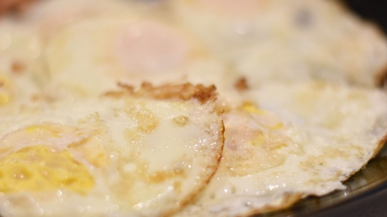 A fried egg with crispy edges