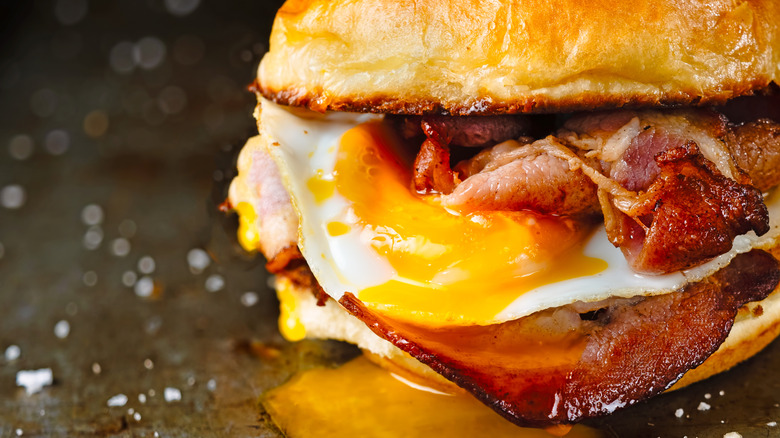 bacon egg breakfast sandwich close-up