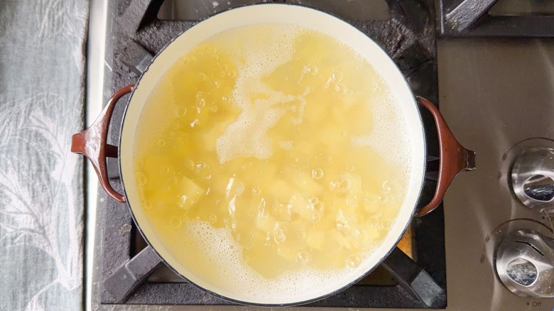 Cubed potatoes boiling in pot on stovetop